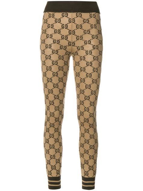 brown gucci tights